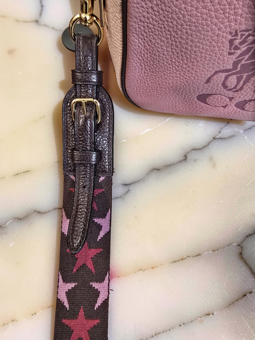 Coach Jes Crossbody in Colorblock Rose - 2 Hangtags - Picture 9 of 12